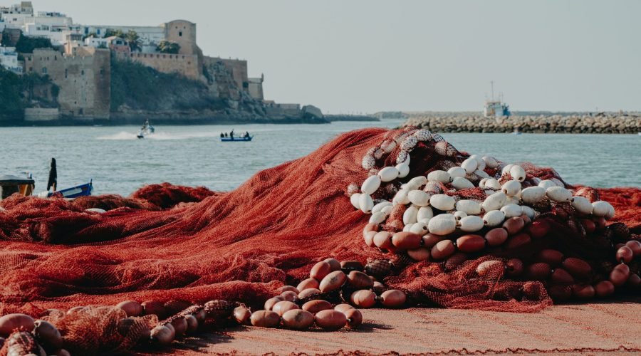 morocco tourism